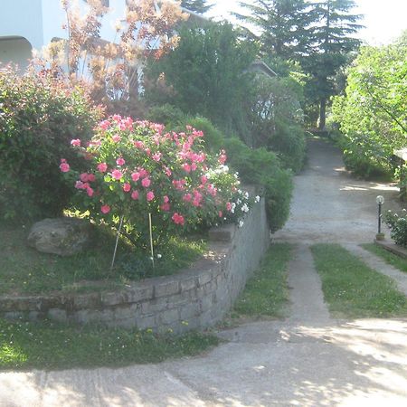 La Villa Di Lucia วิแตร์โบ ภายนอก รูปภาพ
